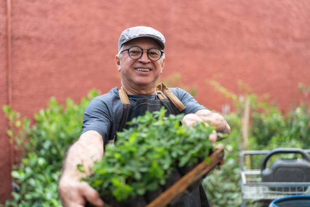 istock Portrait of Farmer Showing Plants 1037666972