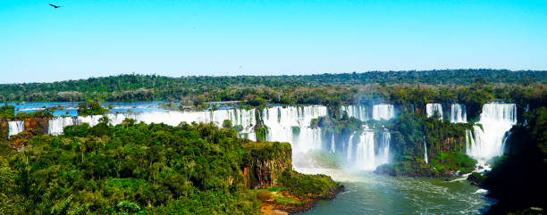 cataratas del iguazú - iguacu falls argentina tropical rainforest rainbow fotografías e imágenes de stock