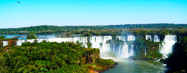 Iguazu Falls Iguazu falls national park. Tropical waterfalls and rainforest landscape. misiones province stock pictures, royalty-free photos & images