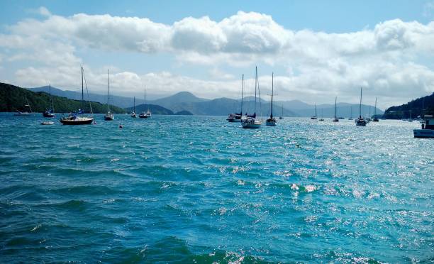 vista de veleros en la bahía de waikawa. picton, nueva zelanda - queen charlotte sound fotografías e imágenes de stock