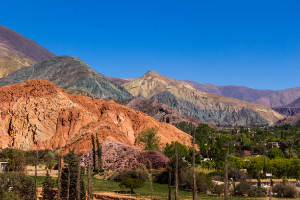 cerro de los siete colores - purmamarca en la provincia de jujuy - argentina - photography north america cactus plant fotografías e imágenes de stock