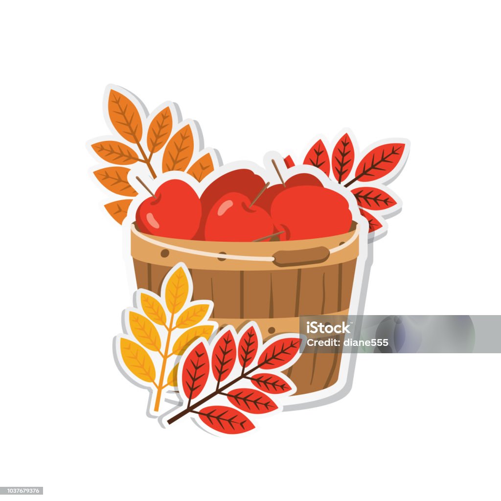 Cute Autumn Design Element Flat Design Style Autumn Ornament. Old bushel basket filled with harvested apples. Apple - Fruit stock vector