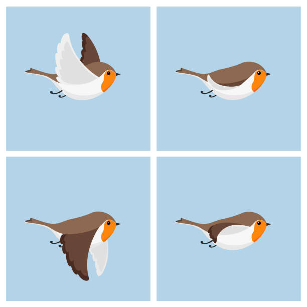 ilustraciones, imágenes clip art, dibujos animados e iconos de stock de hoja voladora de sprite de la animación del robin - aves