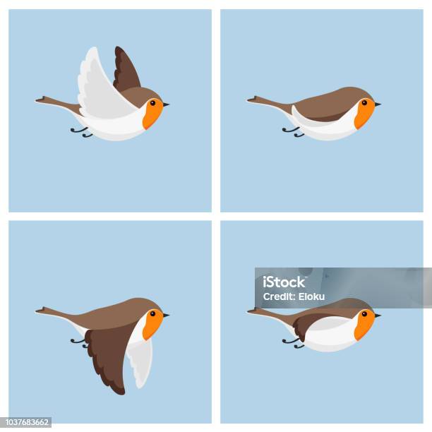 비행 로빈 애니메이션 스프라이트 시트 새에 대한 스톡 벡터 아트 및 기타 이미지 - 새, 날기, 유럽울새