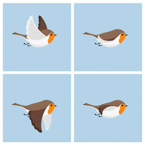 Vector illustration of Flying Robin animation sprite sheet