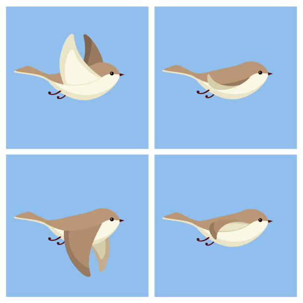 ilustrações, clipart, desenhos animados e ícones de folha de sprite de animação de pássaro a voar - looping animation
