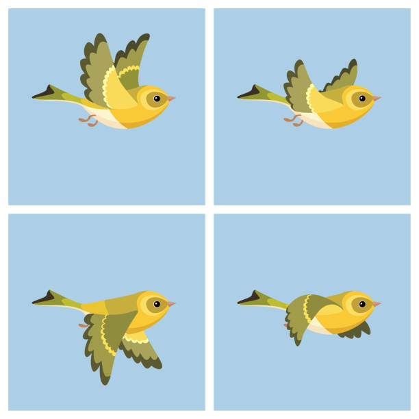 illustrations, cliparts, dessins animés et icônes de feuille de sprite chardonneret européen (femelle) animation de vol - tarins