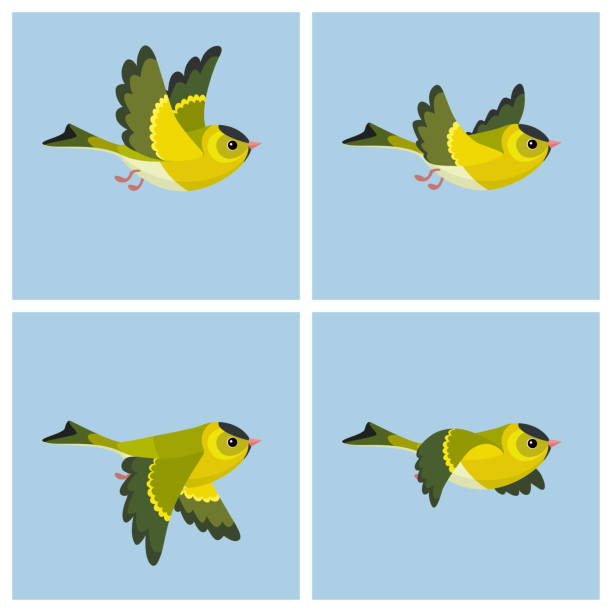 illustrations, cliparts, dessins animés et icônes de feuille de sprite animation chardonneret européen (mâle) de vol - tarins