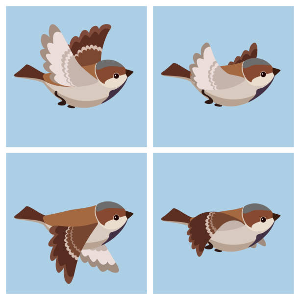 stockillustraties, clipart, cartoons en iconen met cartoon vliegende huismus (man) animatie sprite blad - house sparrow