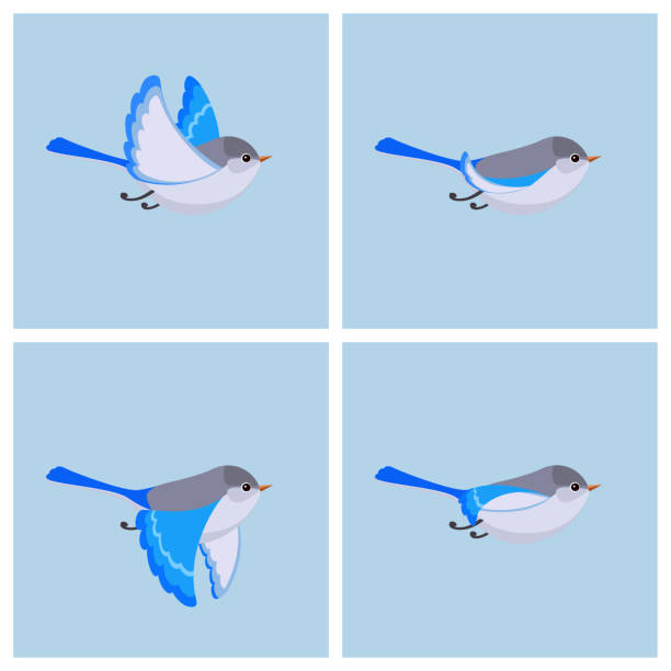 ilustrações, clipart, desenhos animados e ícones de folha de sprite voador esplêndida maluridae animação (feminino) - passerine