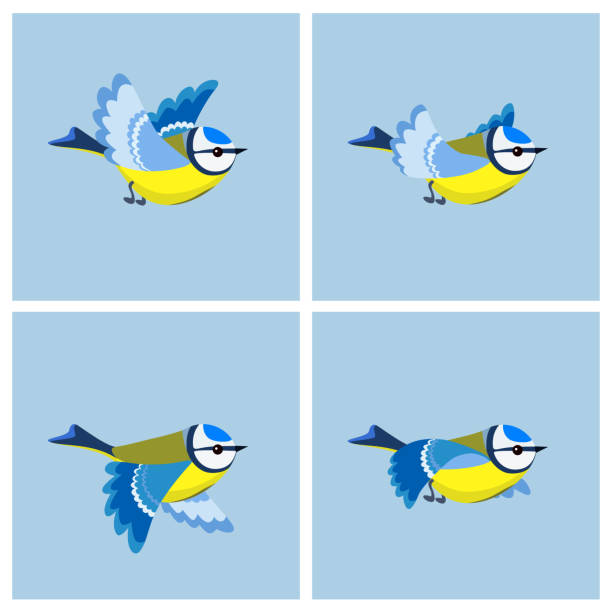 Flying Blue Tit animation sprite sheet Vector illustration of cartoon flying Blue Tit sprite sheet. Can be used for GIF animation titmouse stock illustrations