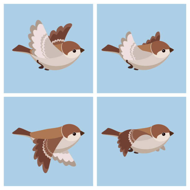 stockillustraties, clipart, cartoons en iconen met cartoon vliegende huismus (female) animatie sprite blad - house sparrow