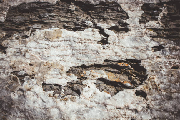 istock Rock or Stone  surface as  background texture 1037688126