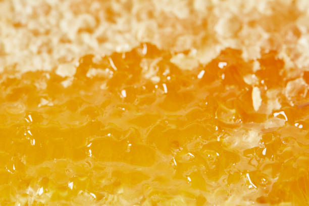 istock full frame of organic beeswax with honey as background 1037699366