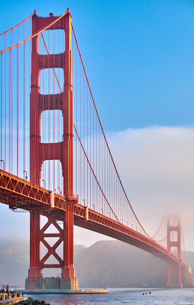 golden gate bridge am morgen, san francisco, kalifornien - orange golden gate bridge tower suspension bridge stock-fotos und bilder