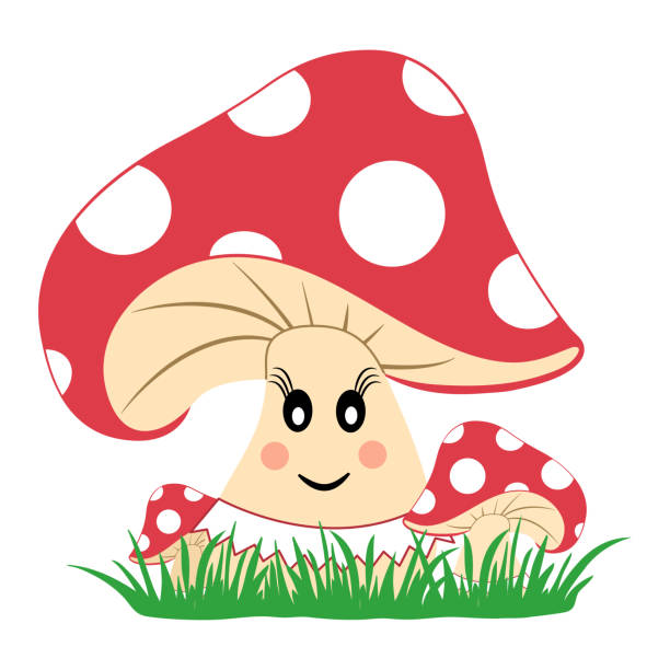 잔디에 버섯입니다. 버섯 감정. 웃는 얼굴. 벡터 일러스트 레이 션 - 독우산광대버섯 stock illustrations