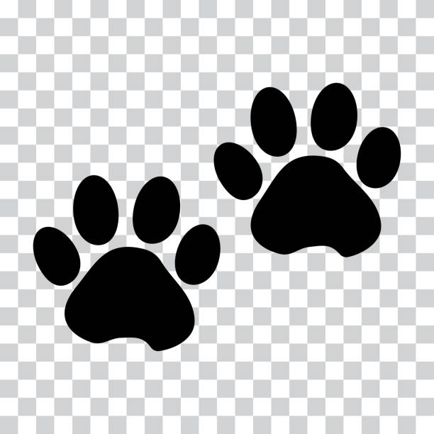 Black silhouette animal paw track isolated on transparent background. Vector illustration Black silhouette animal paw track isolated on transparent background. Vector illustration animal foot stock illustrations