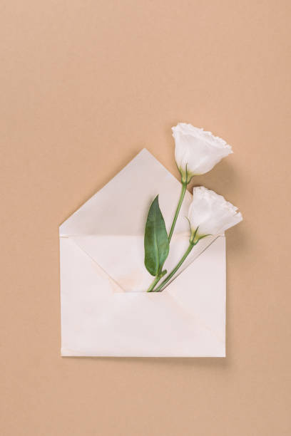 istock Top view of white eustoma flowers in envelope on beige background 1037703184