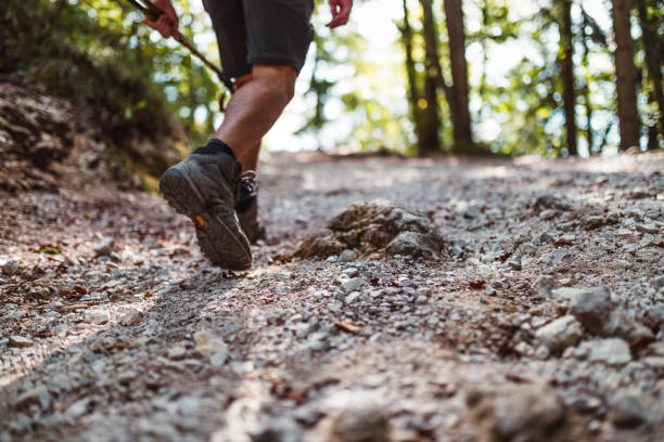 istock Hiker walks on Mountain Trail 1037703890