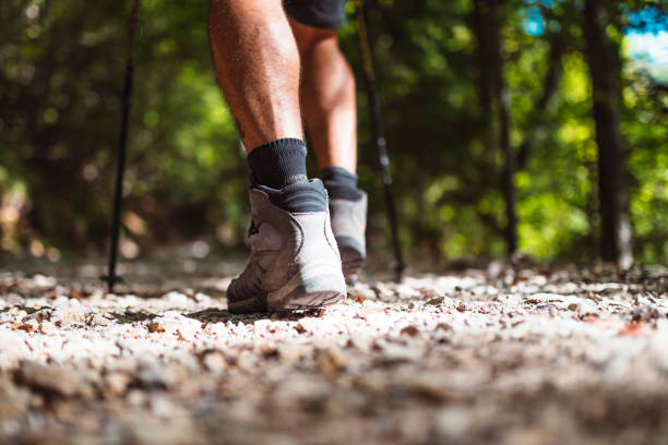 istock Close-up of walker with mountain shoes 1037703922