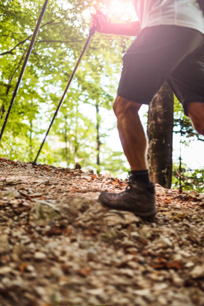 istock Mature man hiking on high mountain 1037703978