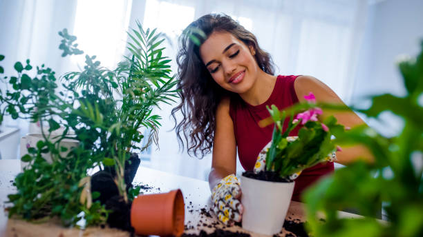 istock Woman preparing flowers for planting 1037709754