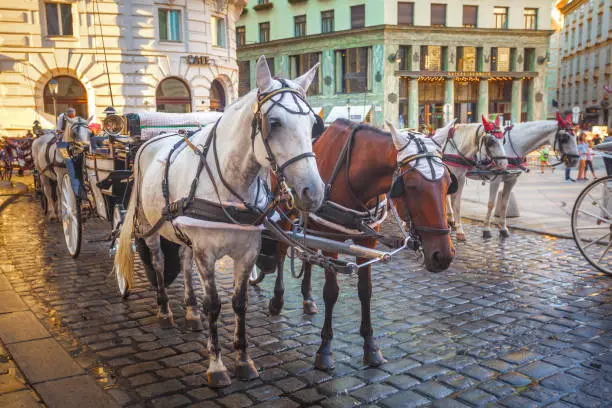 Horse-drawn carriage or Fiaker, popular tourist attraction, on Michaelerplatz in Vienna, Austria.