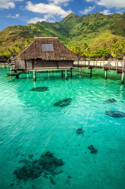 istock Bungalow over shallow lagoon water 1037718880