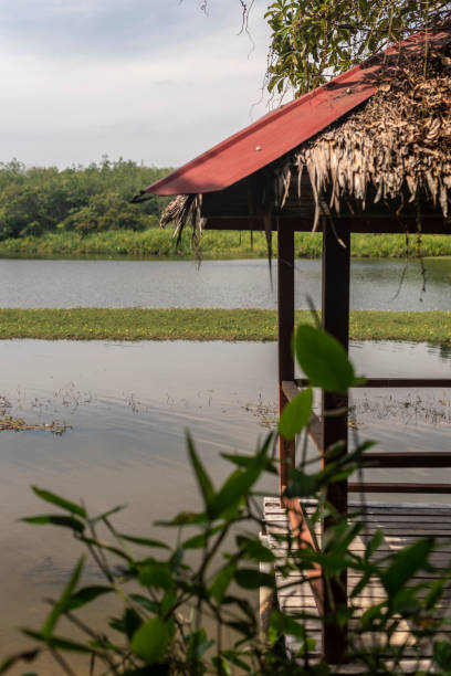 istock Lake View with shed in Perak, Malaysia 1037727268