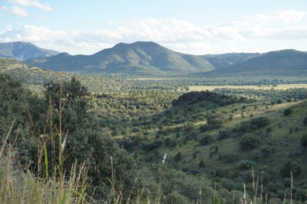 istock The Casket Mountains in Texas 1037727894
