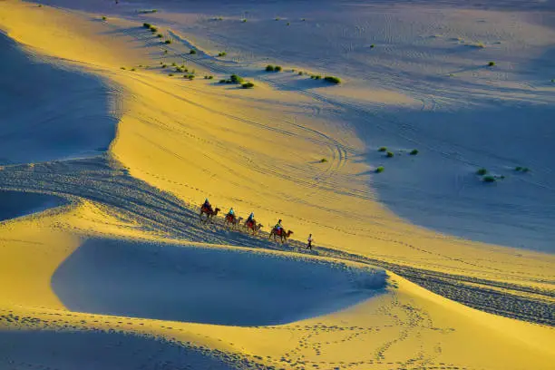Landscape. A camel train is traveling in the desert. Created in Dunhuang, China. 07/07/2018