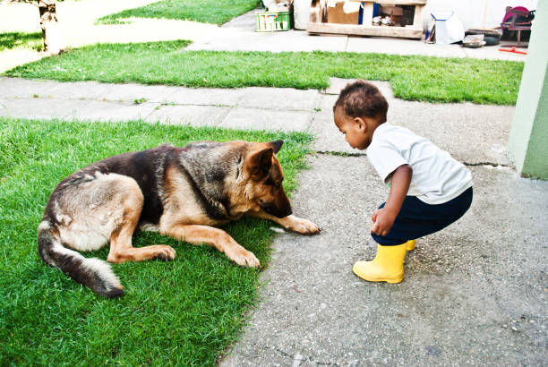 istock Hello Dog. Child Playing With His Pet In The Park 1037732424
