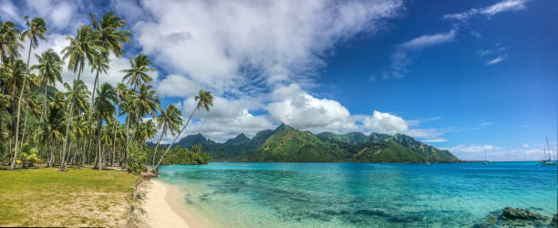 vista panorámica de playa taahiamanu - beach sea zen like nature fotografías e imágenes de stock