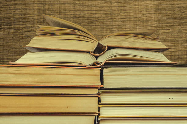 istock Stack of books on wooden background 1037739964