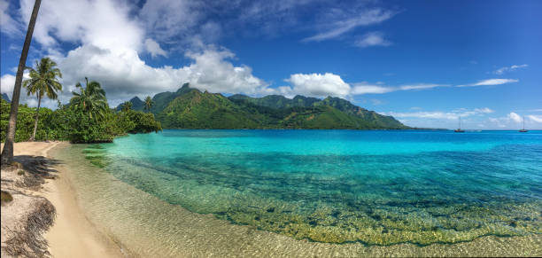 istock Taahiamanu Beach  afternoon panorama 1037740162
