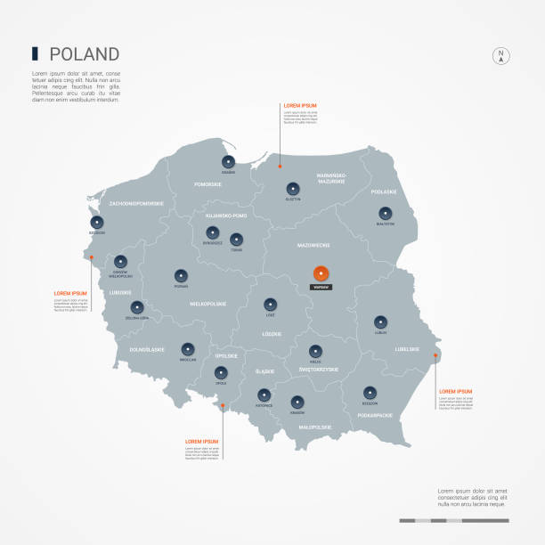 Poland infographic map vector illustration. Poland map with borders, cities, capital and administrative divisions. Infographic vector map. Editable layers clearly labeled. poland stock illustrations