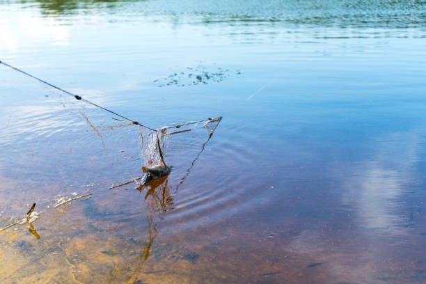 istock Fishing net. Poaching. Place for your text. 1037742532