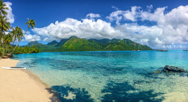 taahiamanu playa y la bahía de opunohu - beach sea zen like nature fotografías e imágenes de stock