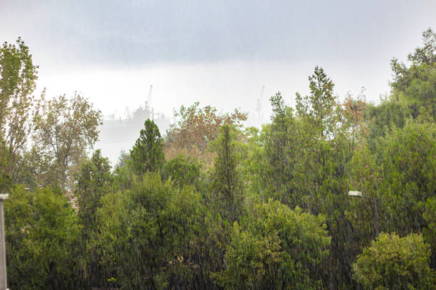 istock Its rainliy season 1037757824