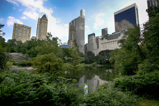 View on skyscrapers from Gapstow Bridge in Central Park, New York, USA