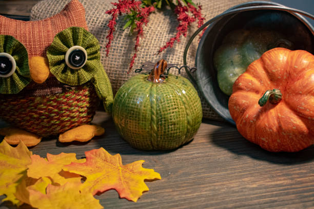 istock Rustic pumpkin and owl decoration Fall Thanksgiving 1037783540