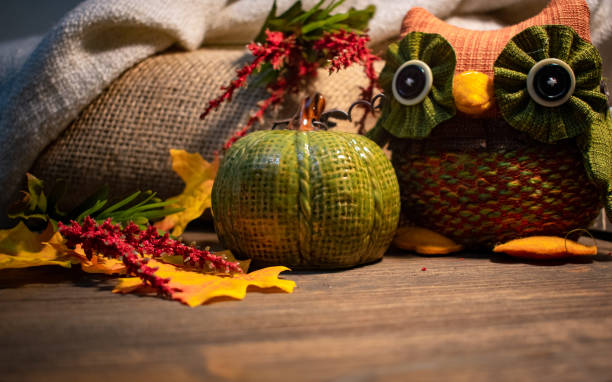 istock Rustic Fall Thanksgiving decoration with pumpkin and owl 1037783554