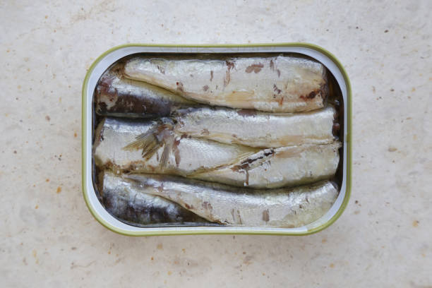 istock Open can of sardines in oil, top view 1037787600