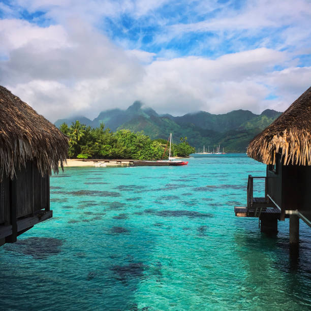 istock Bungalows over turquoise water 1037787686