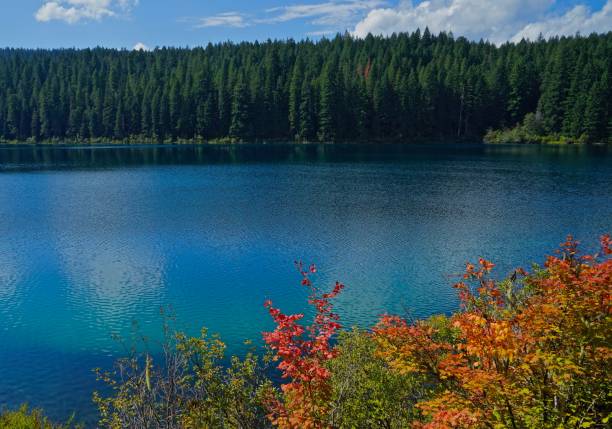 Oregon's Clear Lake Zen