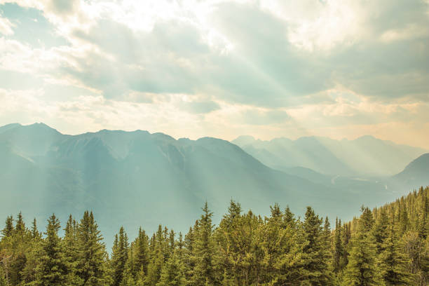 istock Beautiful lights at Banff national park 1037800292