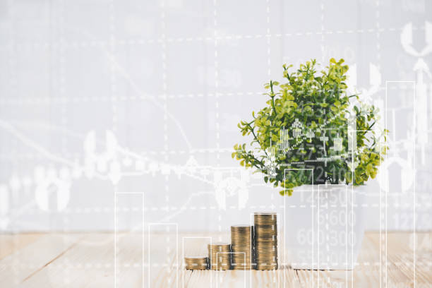 istock Double exposure of coin stack and little tree on city background with financial graph chart, business planning vision and finance analysis concept. 1037812060