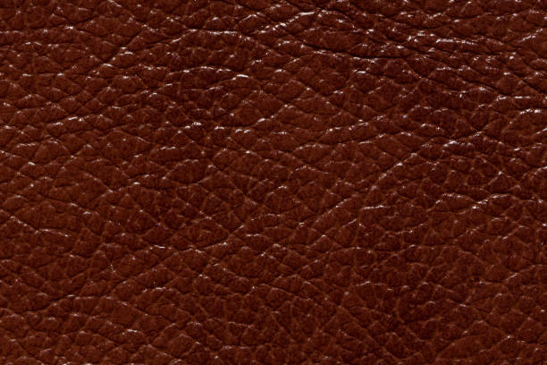 istock Shiny contrast brown leather texture. High resolution photo. 1037816726