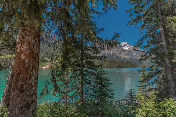 istock Canoe on Emerald Lake Through the Pines 1037835570