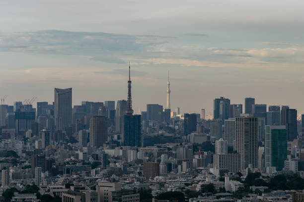 istock City view in Tokyo 1037838726